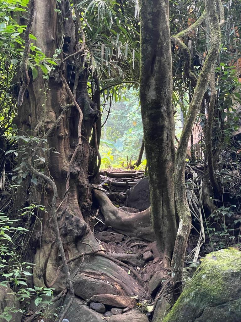 Chalet In The Jungle Pallegama Quarto foto